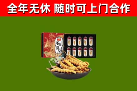睢宁回收冬虫夏草价格